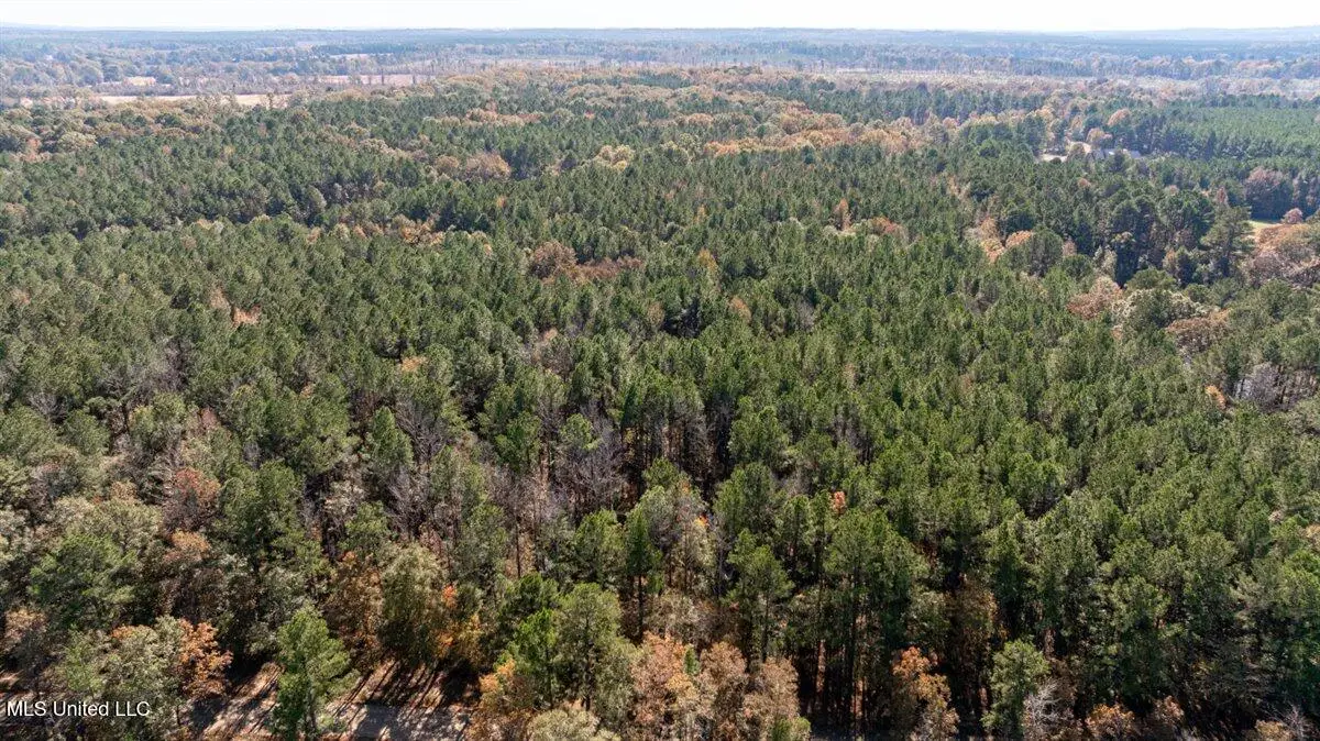 Jc Prestage Rd, Pelahatchie, MS 39145 - Image #1