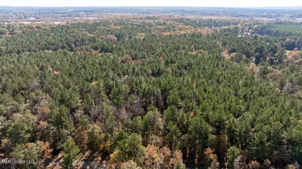 Jc Prestage Rd, Pelahatchie, MS 39145