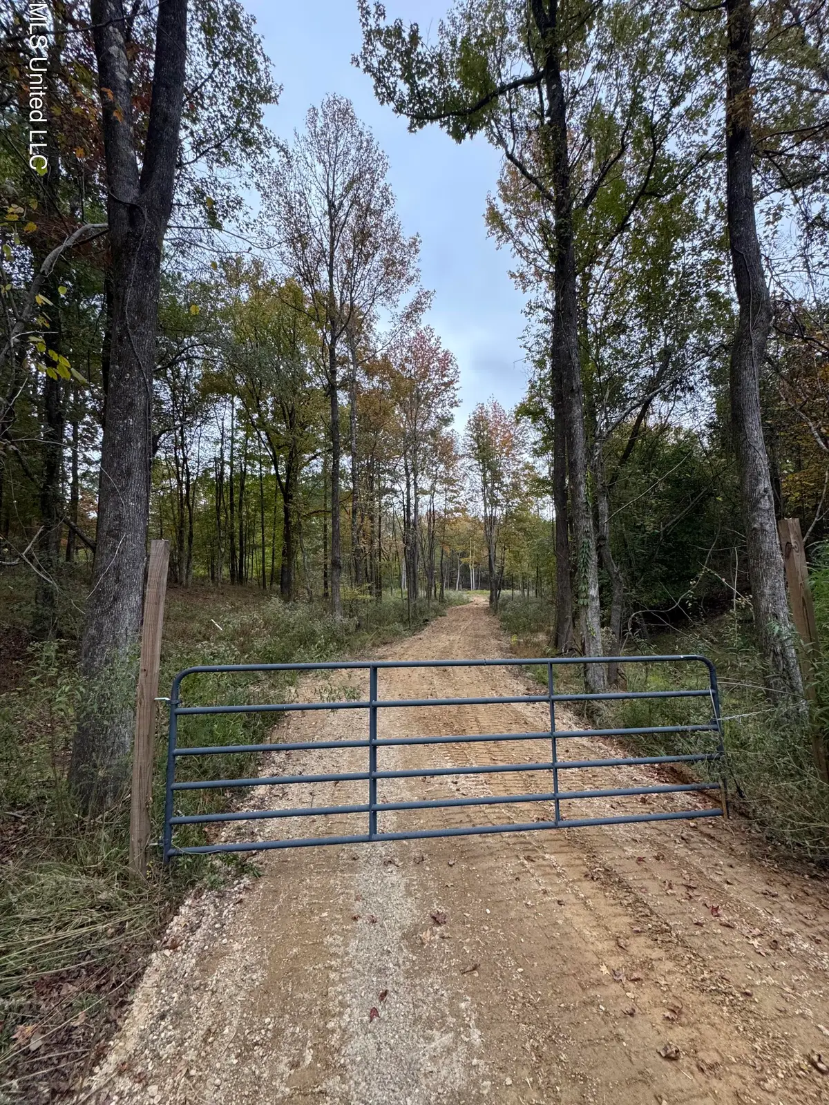 4322 Mcingvale Road, Hernando, MS 38632 - Image #1