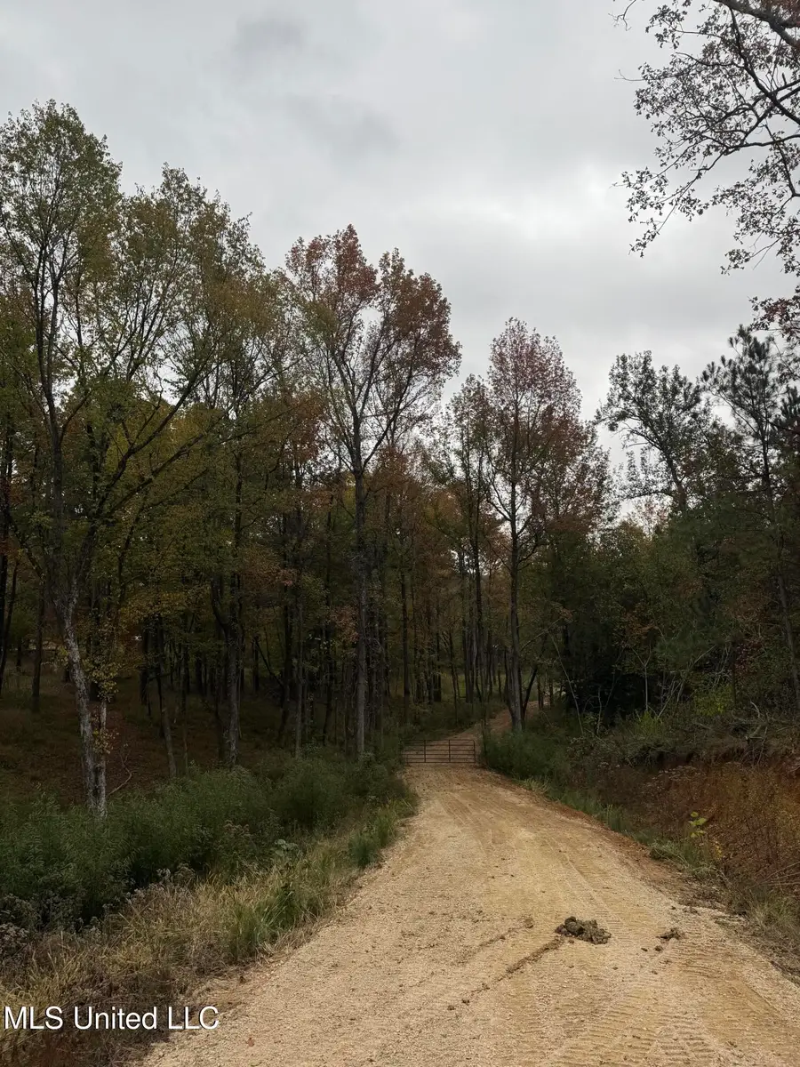 4322 Mcingvale Road, Hernando, MS 38632 - Image #2