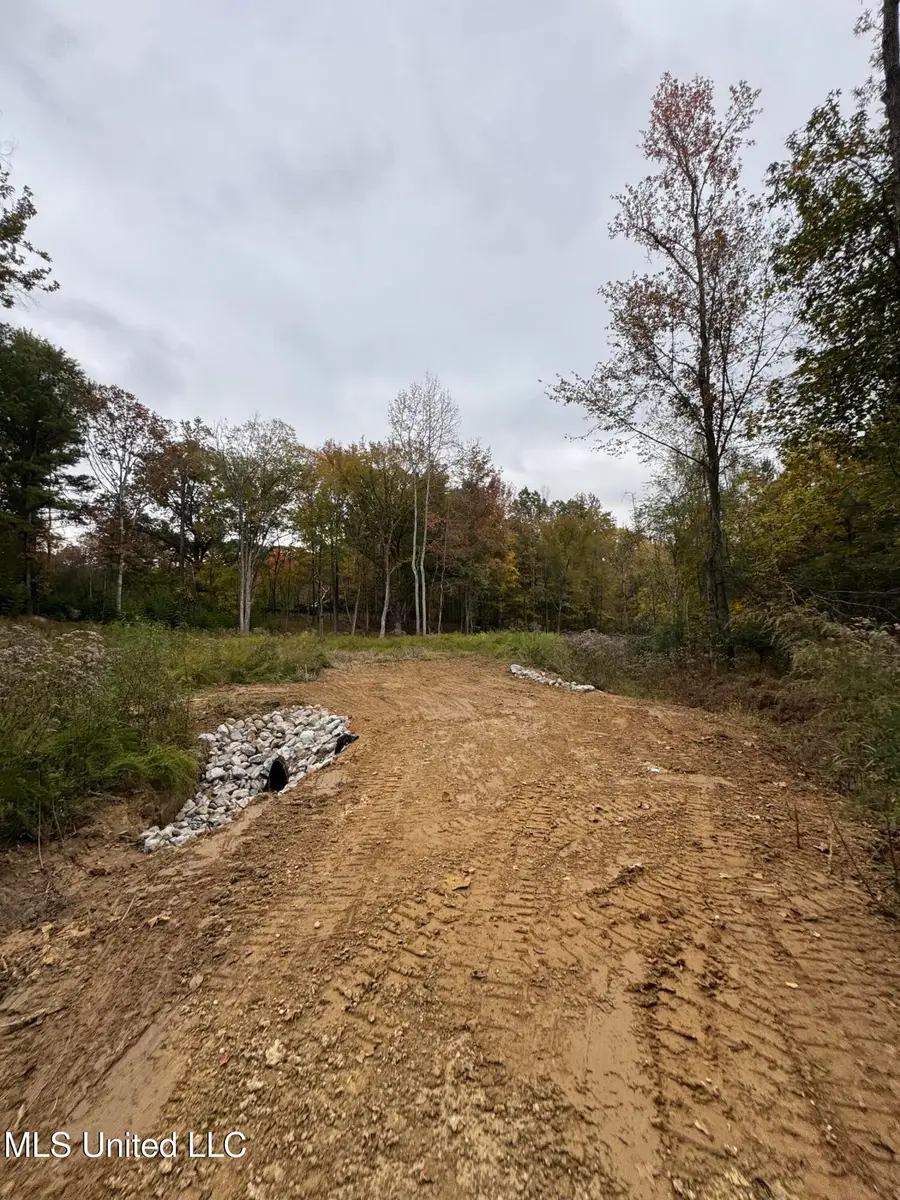 4322 Mcingvale Road, Hernando, MS 38632 - Image #3