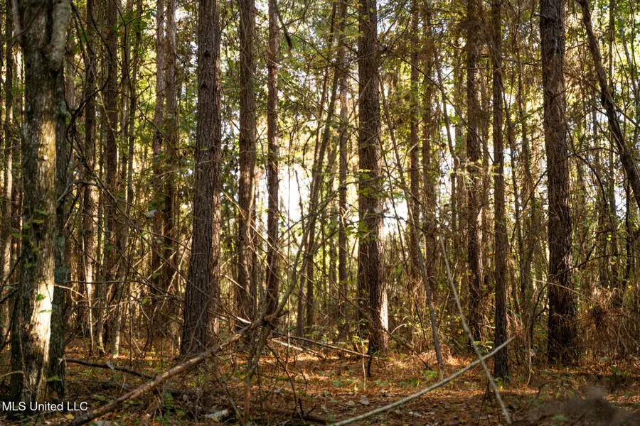 Sand Flat Road, Meridian, MS 39301 - Image #2