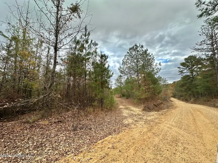 0 County Road 3122, McCool, MS 39108 - Image #2