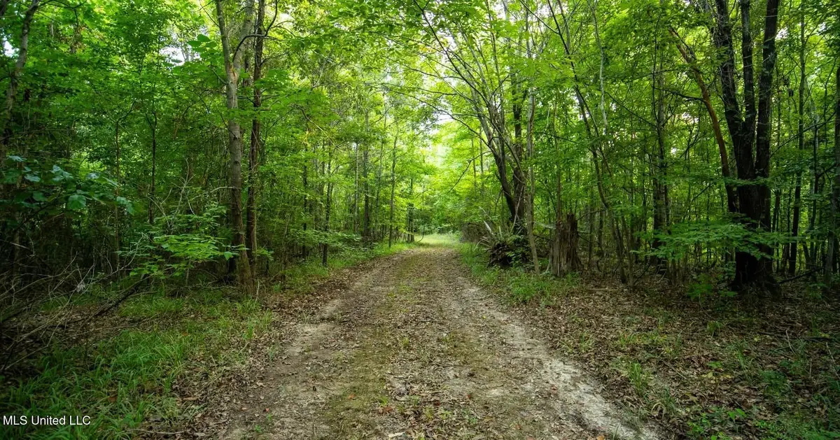 Holly Grove-meeks Road, Cruger, MS 38924 - Image #1