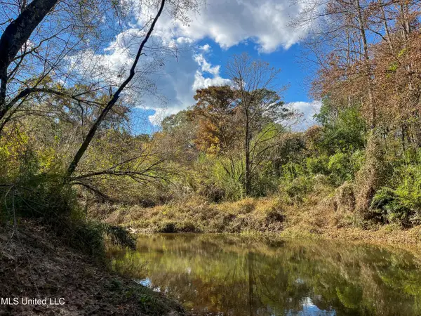 80.8 Acres, Carthage, MS 39051