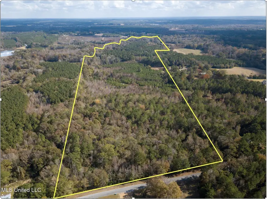 80.8 Acres, Carthage, MS 39051 - Image #3