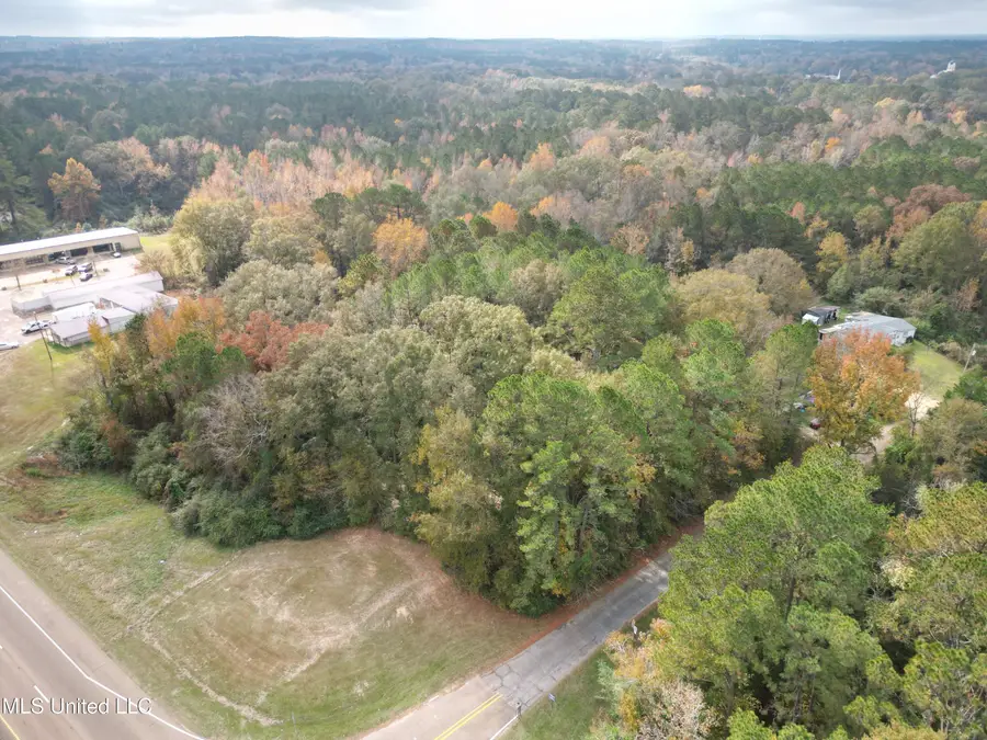 0 Dear Drive, Mendenhall, MS 39114 - Image #2