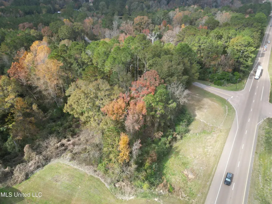 0 Dear Drive, Mendenhall, MS 39114 - Image #3
