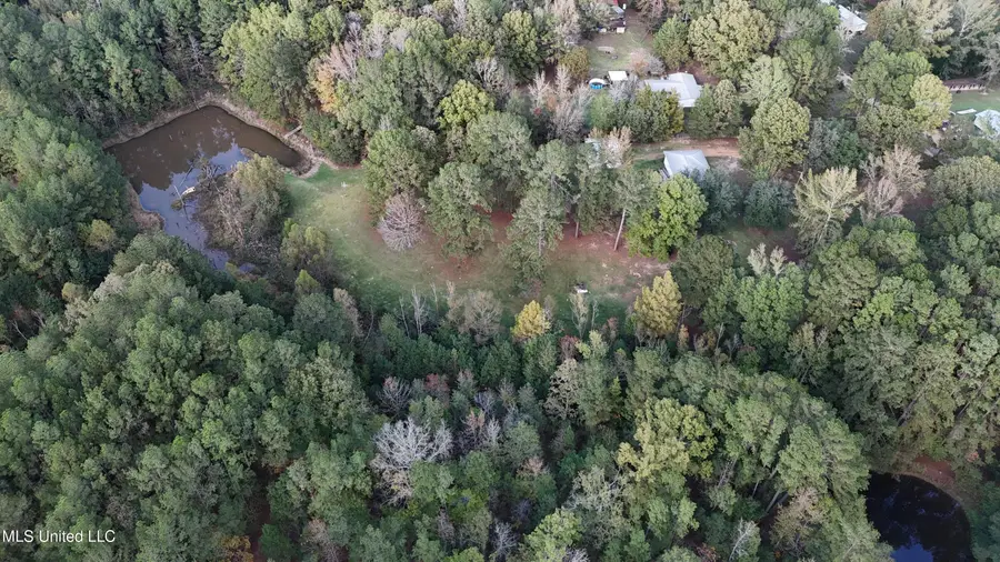 Bones Road, Florence, MS 39073 - Image #3