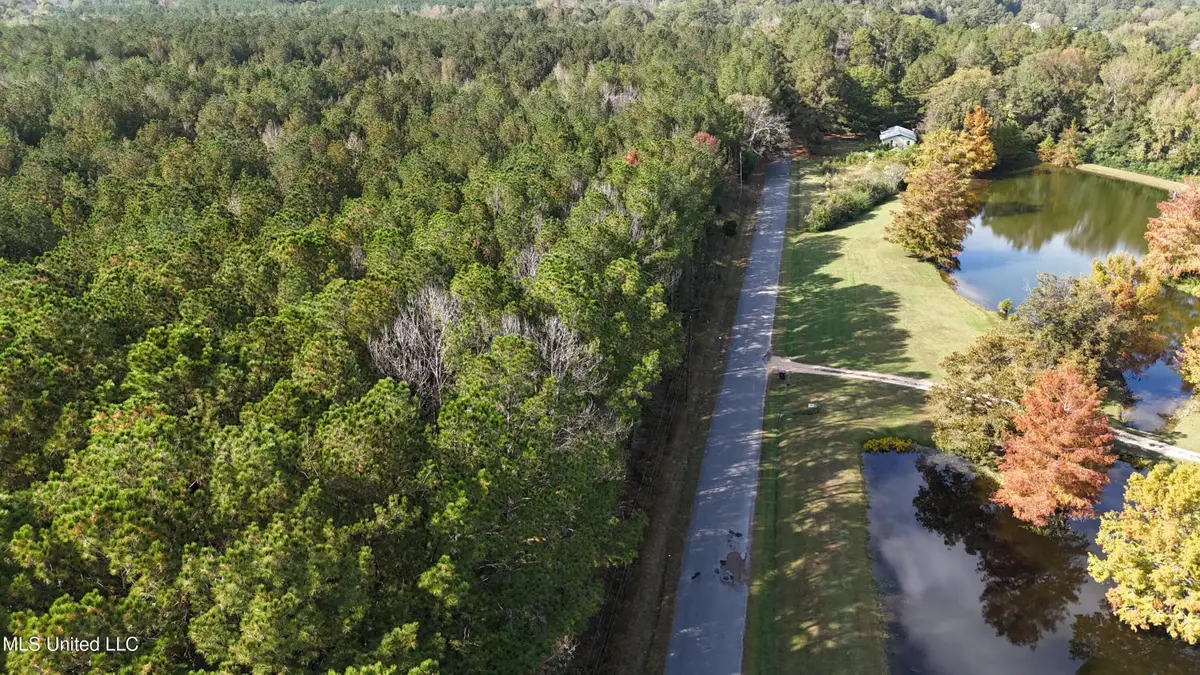 Old Pinola Braxton Road, Braxton, MS 39044 - Image #1