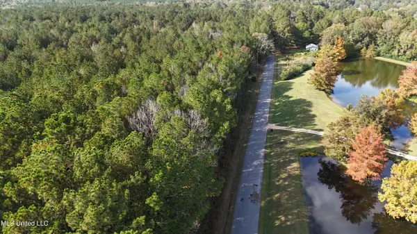 Old Pinola Braxton Road, Braxton, MS 39044