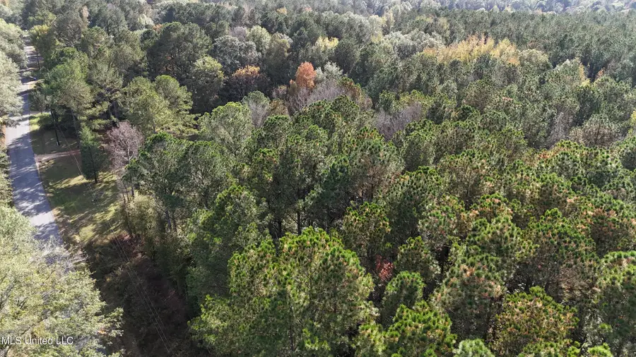 Old Pinola Braxton Road, Braxton, MS 39044 - Image #3