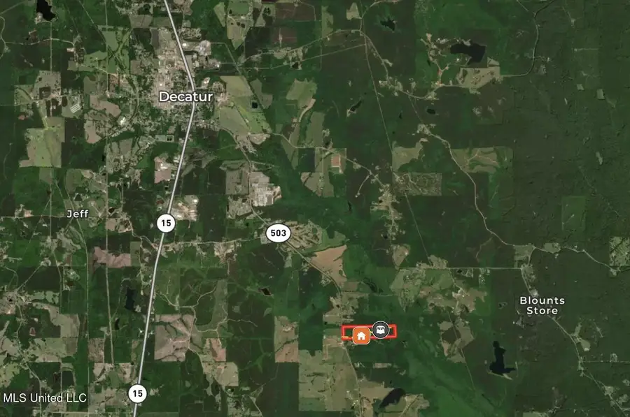 14285 Highway 503, Decatur, MS 39327 - Image #2