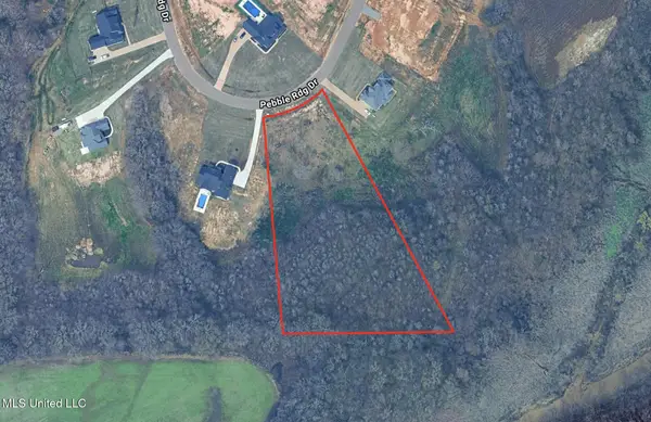 13135 Pebble View Drive, Byhalia, MS 38611