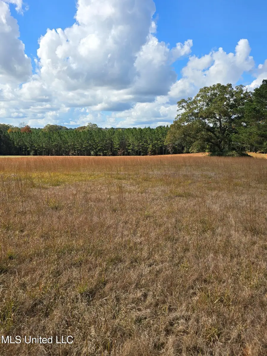 0 Hwy 13, Mendenhall, MS 39114 - Image #2