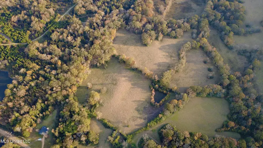 3142 King Road, Wesson, MS 39191 - Image #2