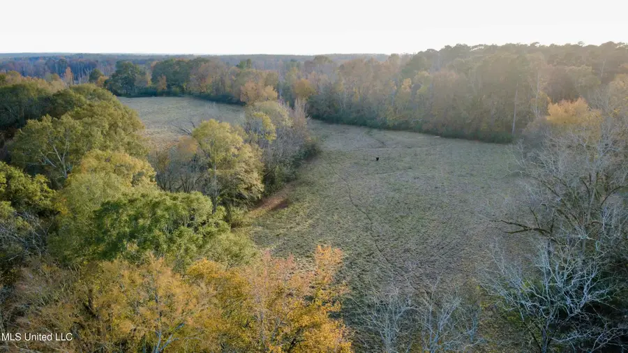 3142 King Road, Wesson, MS 39191 - Image #3