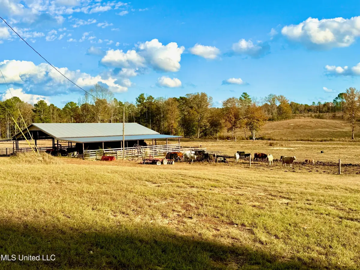 Zion Road, Walnut Grove, MS 39189 - Image #1