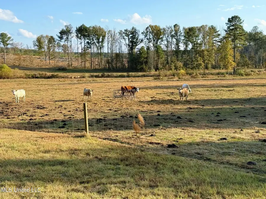 Zion Road, Walnut Grove, MS 39189 - Image #3