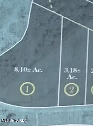 981 Holly Bush Road, Brandon, MS 39047