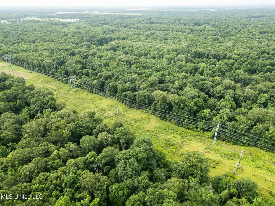 403 Mount Pleasant Road, Zachary, LA 70791 - Image #2