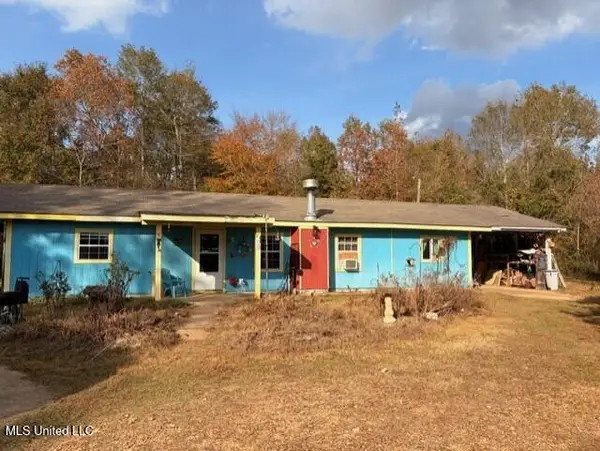1733 Smith County Road 581, Raleigh, MS 39153