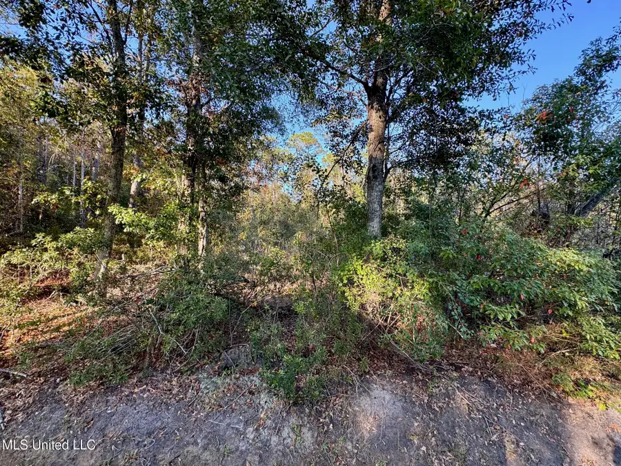 Sycamore Street, Bay Saint Louis, MS 39520 - Image #3