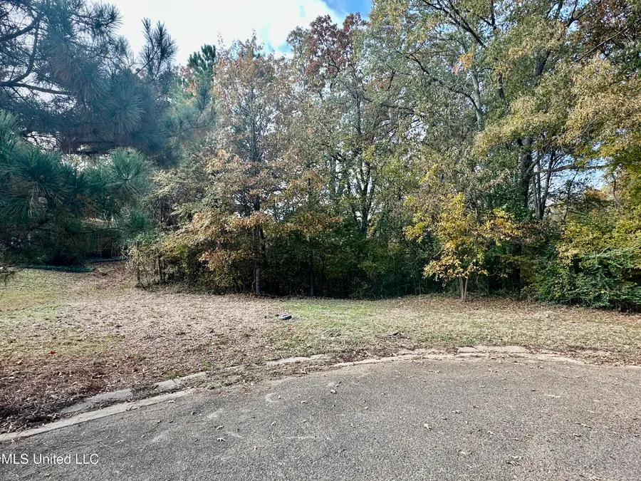 0 Ashton Place, Clinton, MS 39056 - Image #2