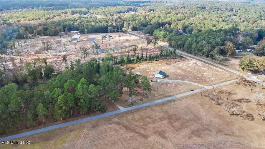 Nsn Brashier Lane, Lucedale, MS 39452 - Image #2