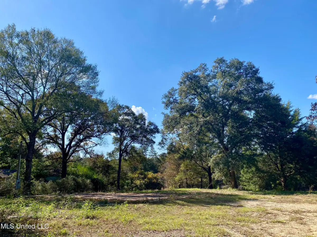 137 Old Creek Road, Picayune, MS 39466 - Image #1