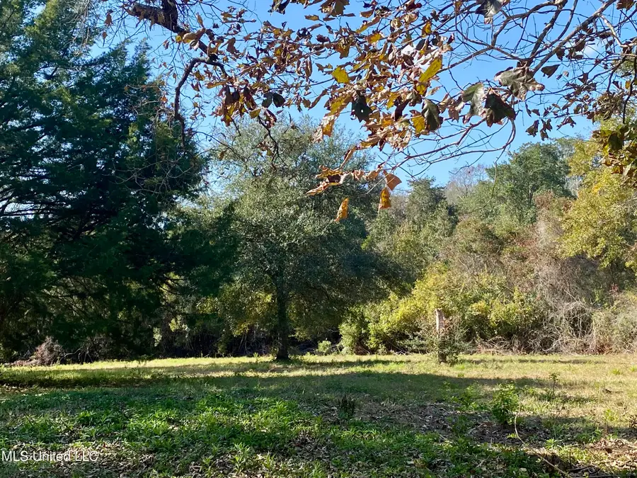 137 Old Creek Road, Picayune, MS 39466 - Image #2