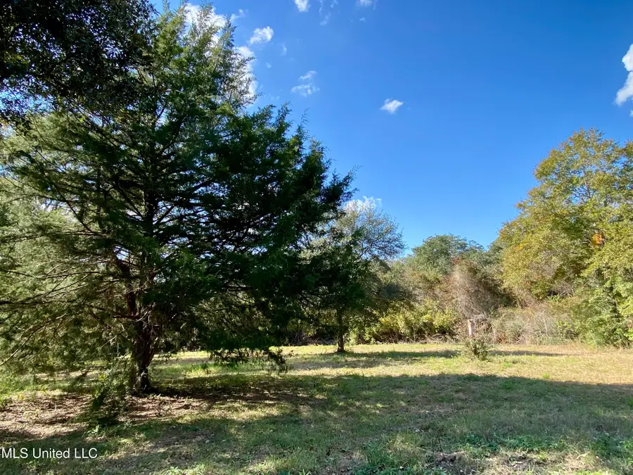 137 Old Creek Road, Picayune, MS 39466 - Image #3
