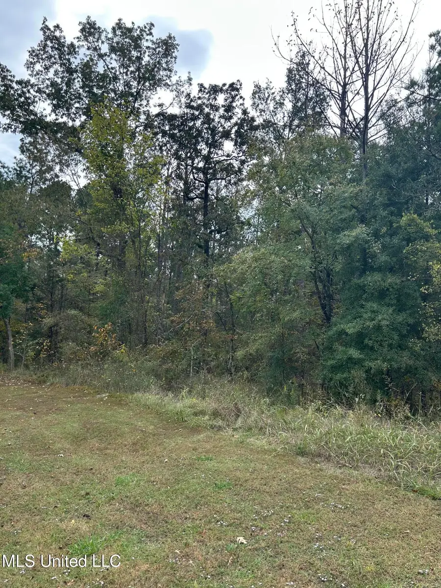 Tbd Old Fannin Road, Brandon, MS 39047 - Image #2