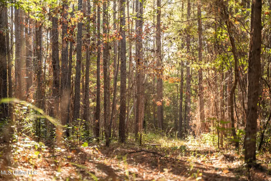 Lake View Golf Course Road, Meridian, MS 39301 - Image #2