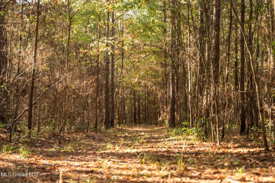 Lake View Golf Course Road, Meridian, MS 39301 - Image #3