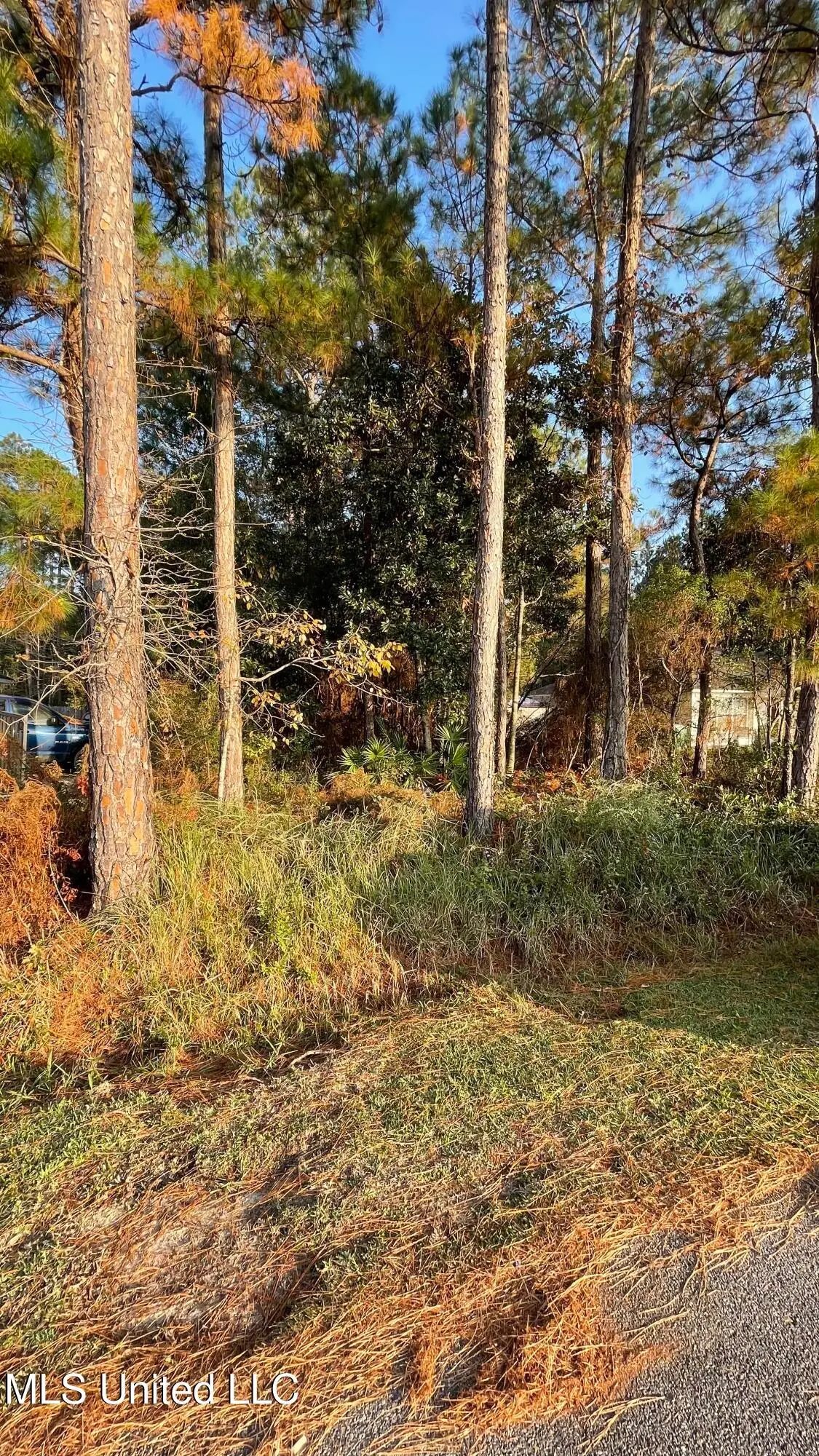 Exchange Street, Gautier, MS 39553 - Image #1