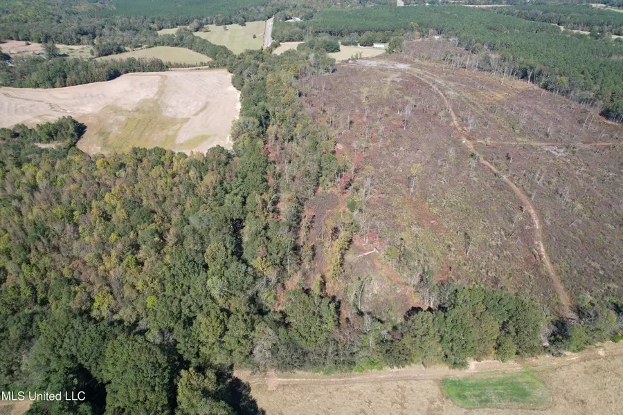 Cr 7, Myrtle, MS 38650 - Image #3