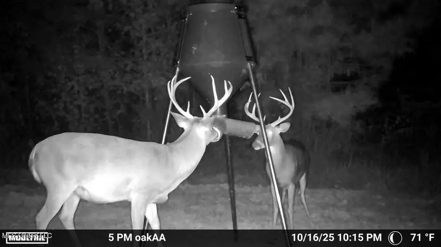 Attala County Road 4210, Sallis, MS 39160 - Image #2