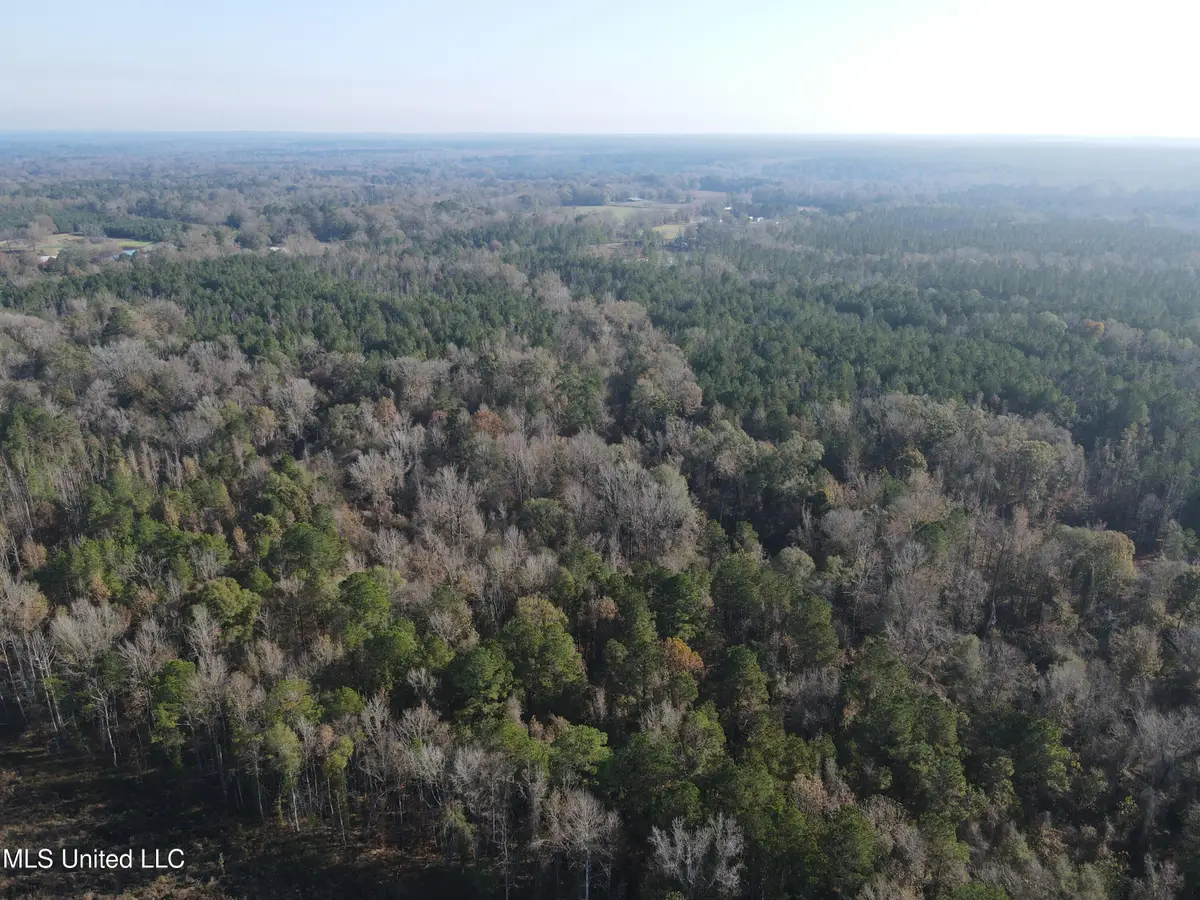 00 Nelson Corner Road, Roxie, MS 39661 - Image #1