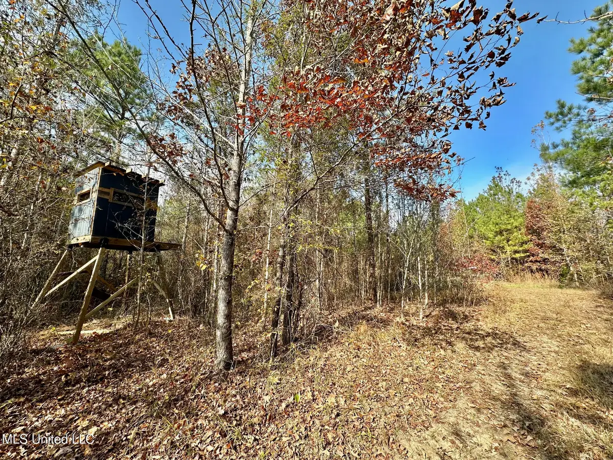 3 County Road 3122, McCool, MS 39108 - Image #1