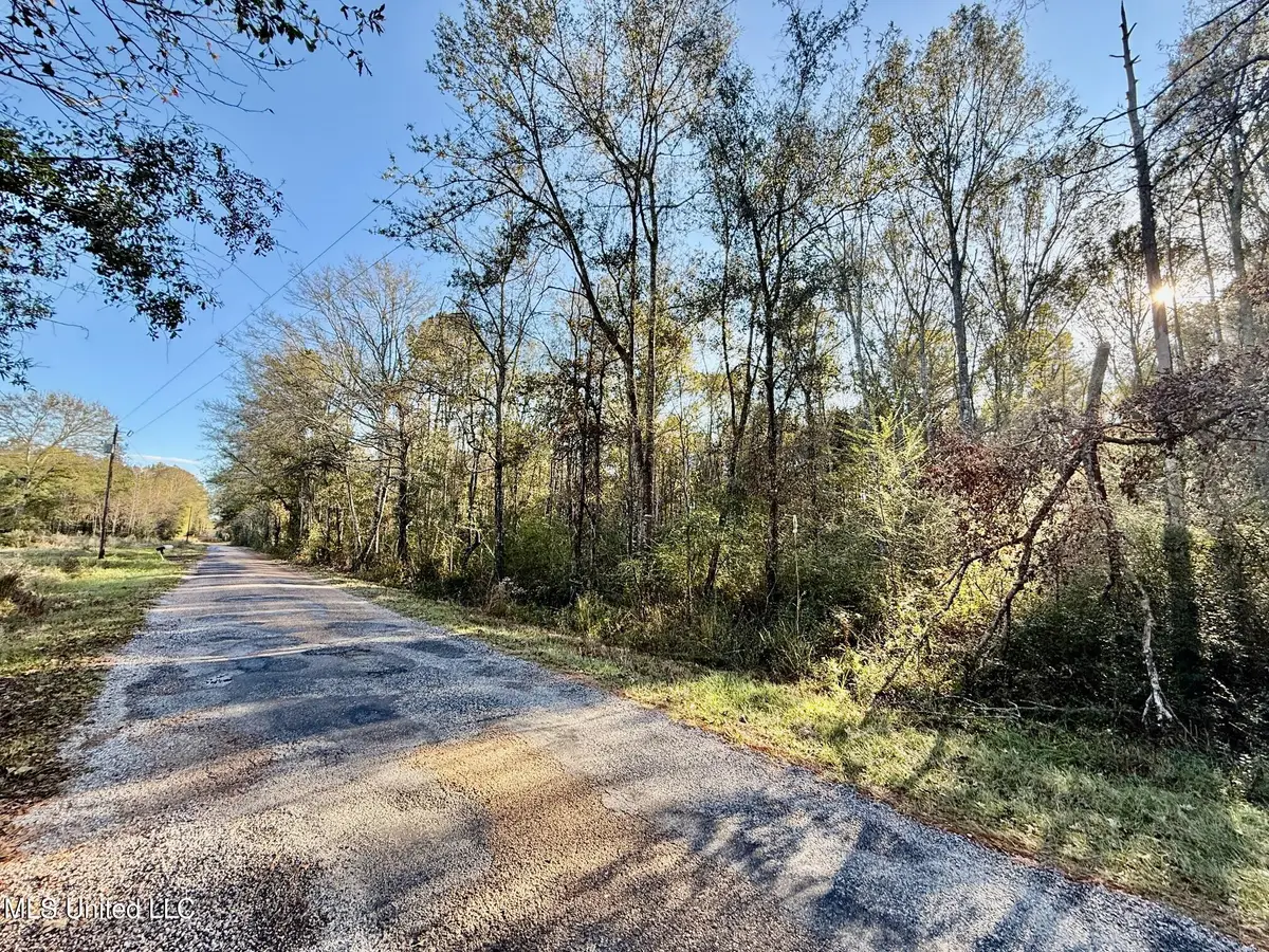 SW Lin Frank Line Road, Smithdale, MS 39664 - Image #1