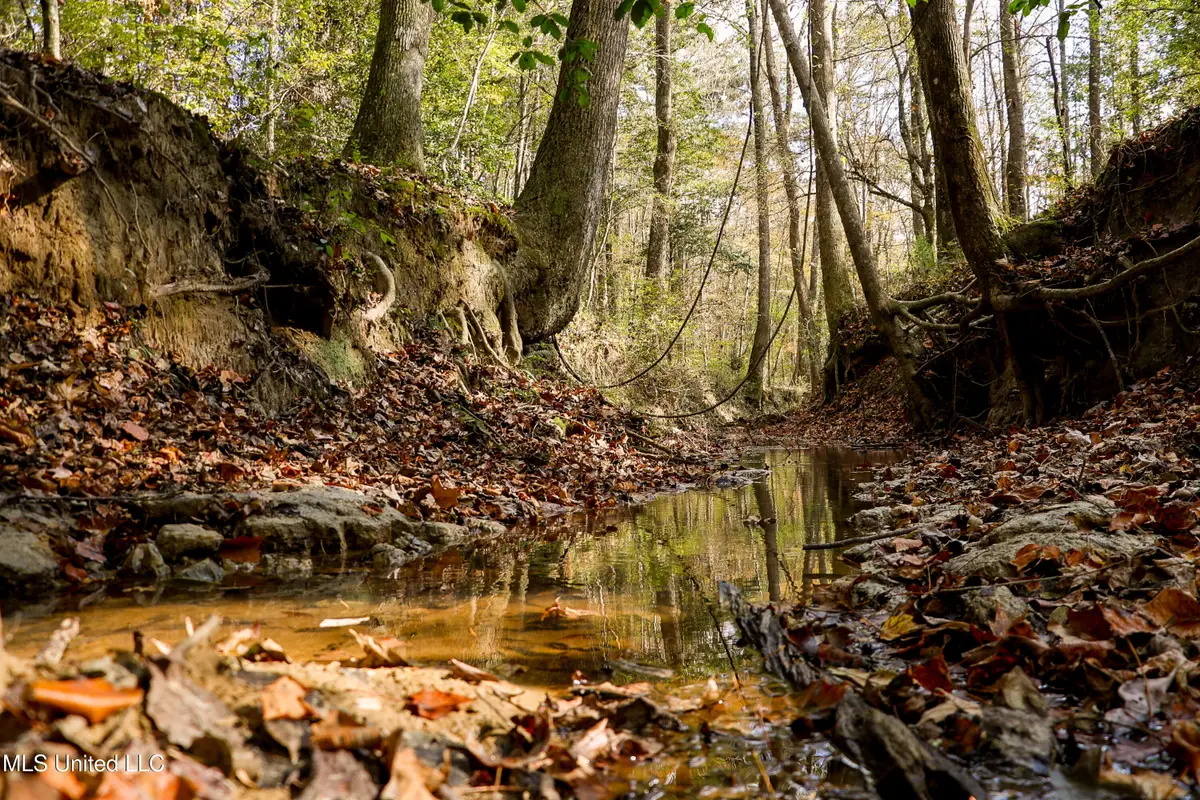 Les Harwell Road, Collinsville, MS 39325 - Image #1