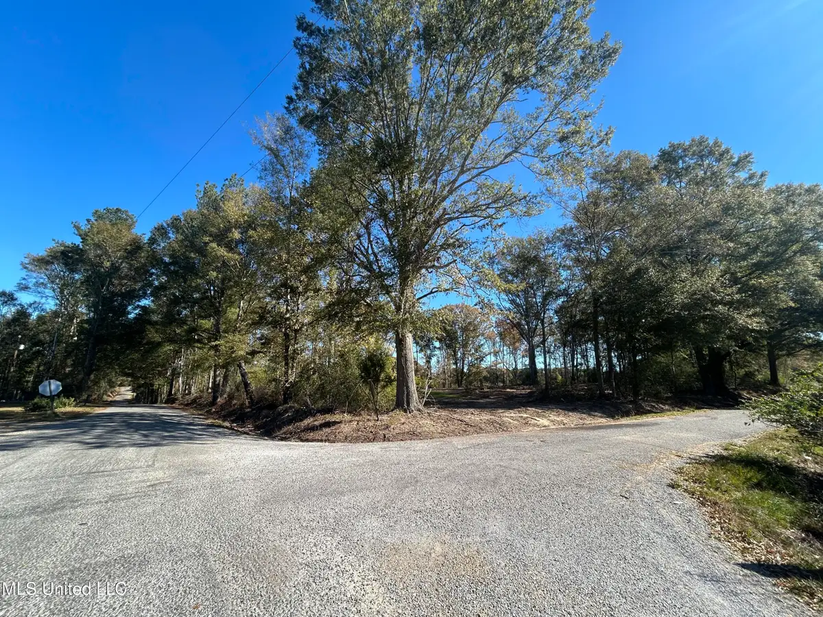 No Warren Cook Road, Mendenhall, MS 39114 - Image #1