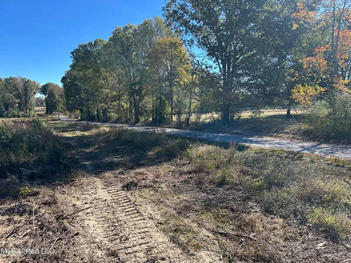 Warren Cook Road, Mendenhall, MS 39114 - Image #1