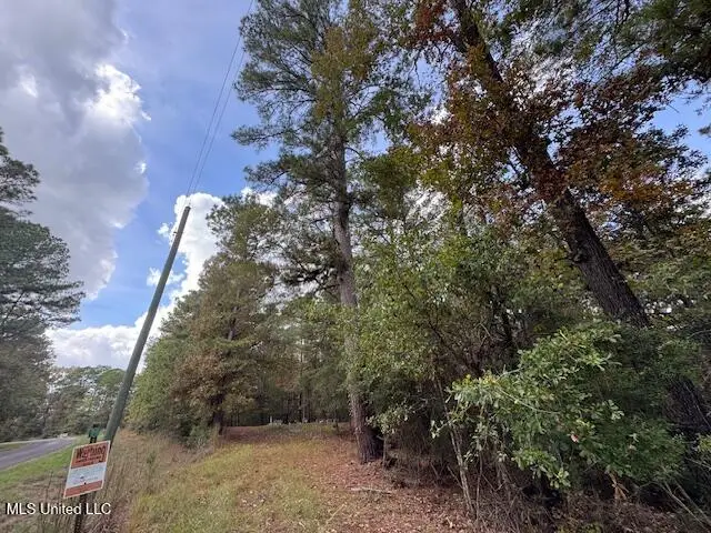 Coons Mill Road, Centreville, MS 39631 - Image #1