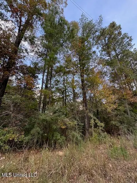 Coons Mill Road, Centreville, MS 39631 - Image #2