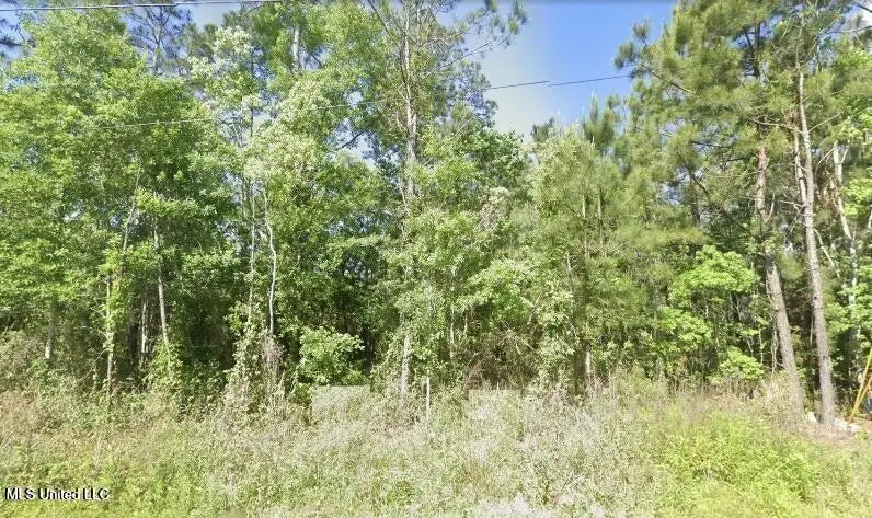 10241 River Drive, Bay Saint Louis, MS 39520 - Image #2