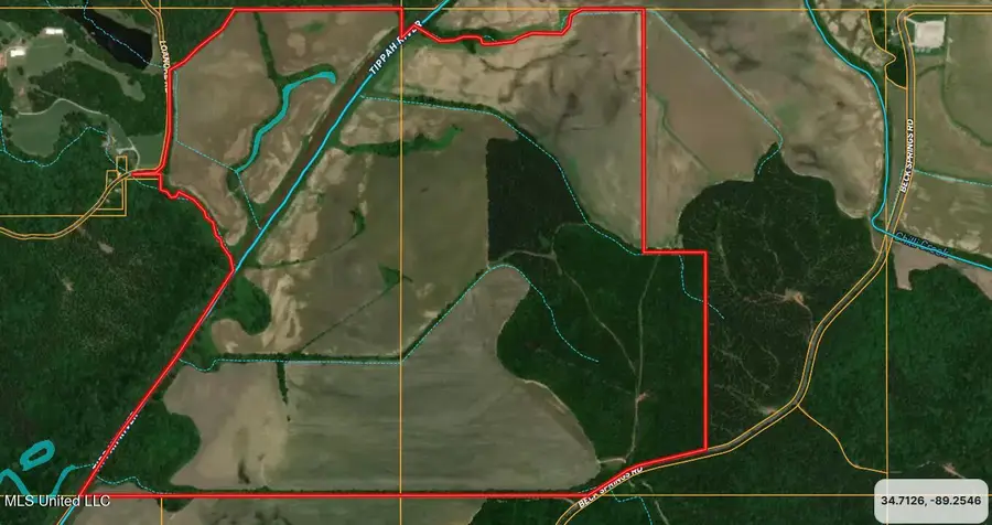 0 Beck Springs, Ashland, MS 38603 - Image #2