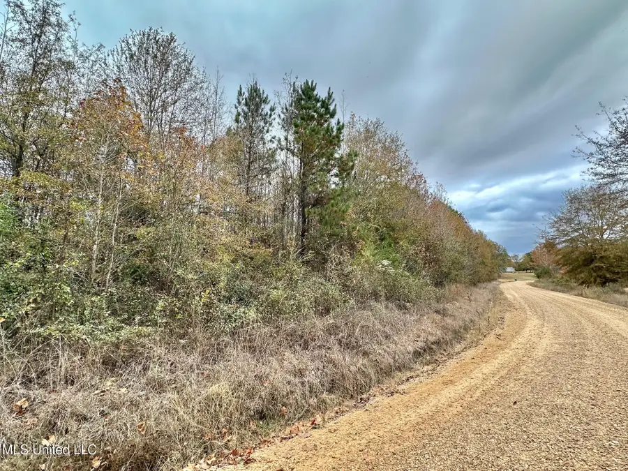 6 County Road 3122, McCool, MS 39108 - Image #3