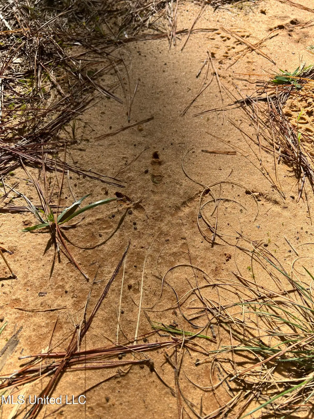 613 N Of Co, Shubuta, MS 39360 - Image #1